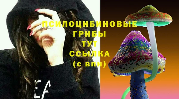 прущая мука Абаза