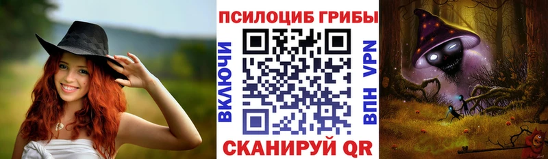 Псилоцибиновые грибы Psilocybe  Сертолово 